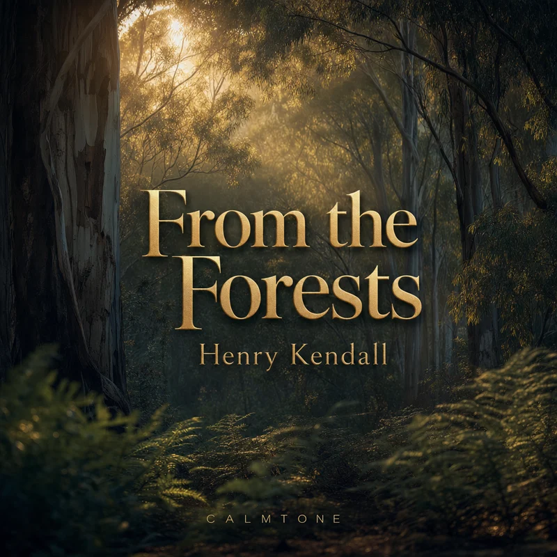 From the Forests