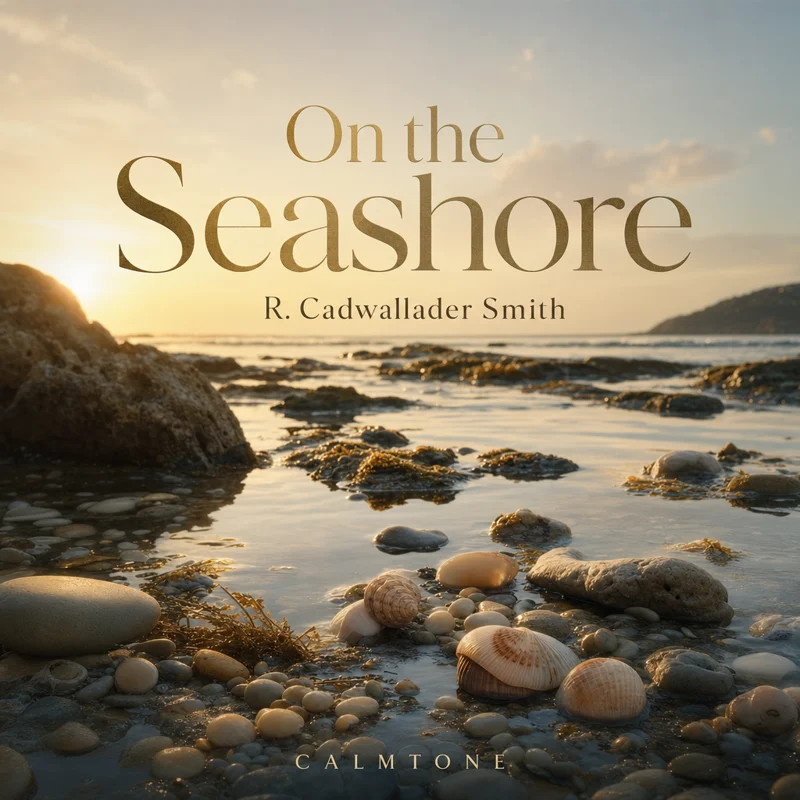 On The Seashore